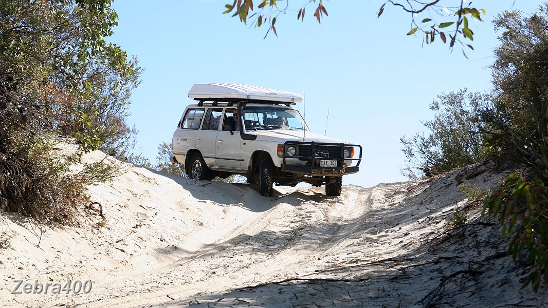 25-Billygoat enjoys the views from the last big dune on the Border Track.jpg